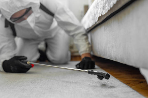 Professional Bed Bug Control technician working in Blossburg, PA