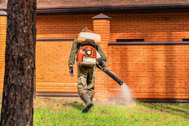 Trusted Cockroach Control service in Blossburg, PA - Nex Pest Control